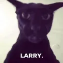 sarielfaults