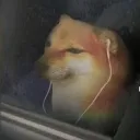 Аватар sashabrolol_33303