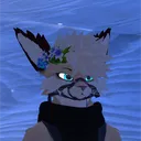 thilo_hl