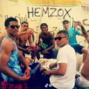 1.taz