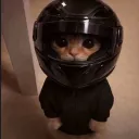 pengy
