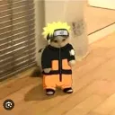 tinnylemon