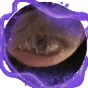 absoulit