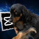 roin_edits