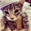 avatar ⃟⃟⃟⃟⃟⃟⃟⃟⃟