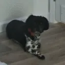 nathan023001