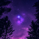 moonlight_presents#0