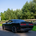 avatar 𝓛𝓘𝓛 𝓬𝓪𝓼𝓱