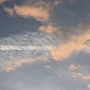 zenfxsion_30473