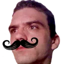 icebearbare