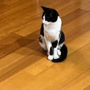 avatar toastedchocmuffins