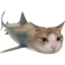 sharksharkcatcat