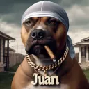 97.juantwo
