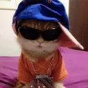 ghsotxz