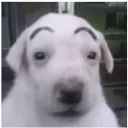 juanjose020297 avatar