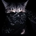 julay0213_95572 avatar