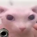jupeyg1 avatar