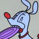 taciturndeer