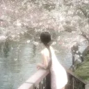 iconllit.elara