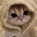 ydoc_1234