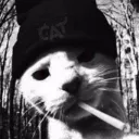 stonedtoothebone999 avatar