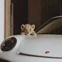 abu_9400