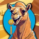cryptocamelyt