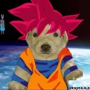 orusqui_84433 avatar