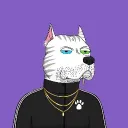 rexjescy avatar