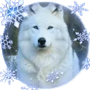 colmillo_celestial