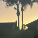 theonlyway0261 avatar