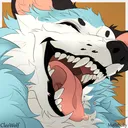 cleo_wolf