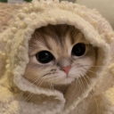 avatar OldMcDonaldsHadAFarm