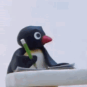 turtl.dev
