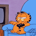 animo.nl.