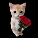 avatar 🛐✞༒ℒ𝑢𝕩𝚞𝔯𝓎 ༒✞🛐