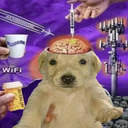 Lobotomy Dog