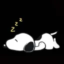 _bolilloo_