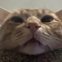 rumble_the_magical_cheese_wizard