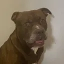 madmatthew0709 avatar