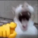 admxn2