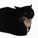 kosik._.
