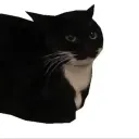 kosik._.