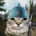 catkilled000