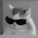 wenuss.