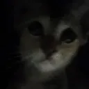bilhvbeeh