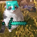 karpateqq