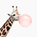 giraffe__1016_91859