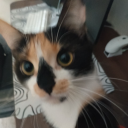 xfiskyyy