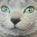 yeeepvr